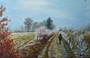 Givre dans le brouillard.jpg